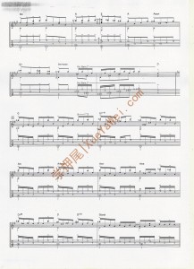 Look Up At The Evening Stars3